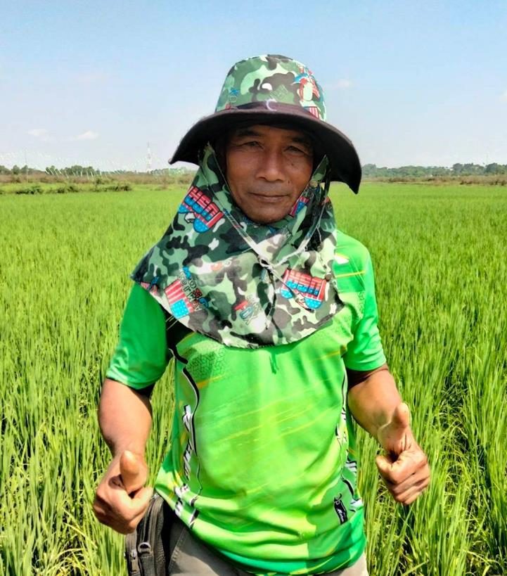 คุณหนูกาญ ยืนกลางนาข้าว