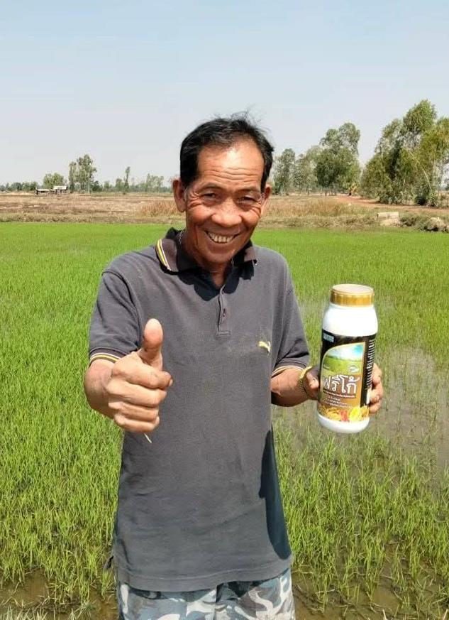 คุณวิชัย ยกนิ้วในนาข้าวเขียว